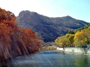 澳门天天开奖免费资料，电子除湿器